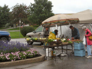 At the farmers market