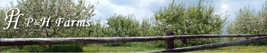 P&H Farms