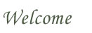 Welcome