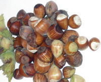 Organic Hazelnuts