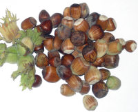 Organic Hazelnuts