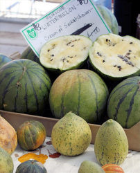 Heritage Watermelons