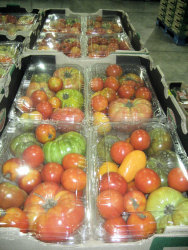 Heirloom Organic Tomatoes